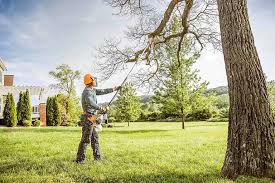 Best Emergency Tree Removal  in Tellico Village, TN